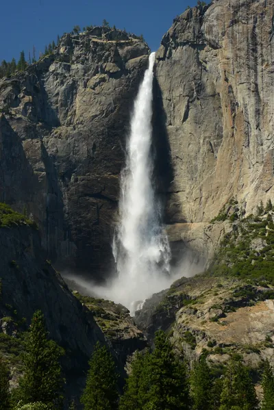 DSC_2369 (Large).JPG